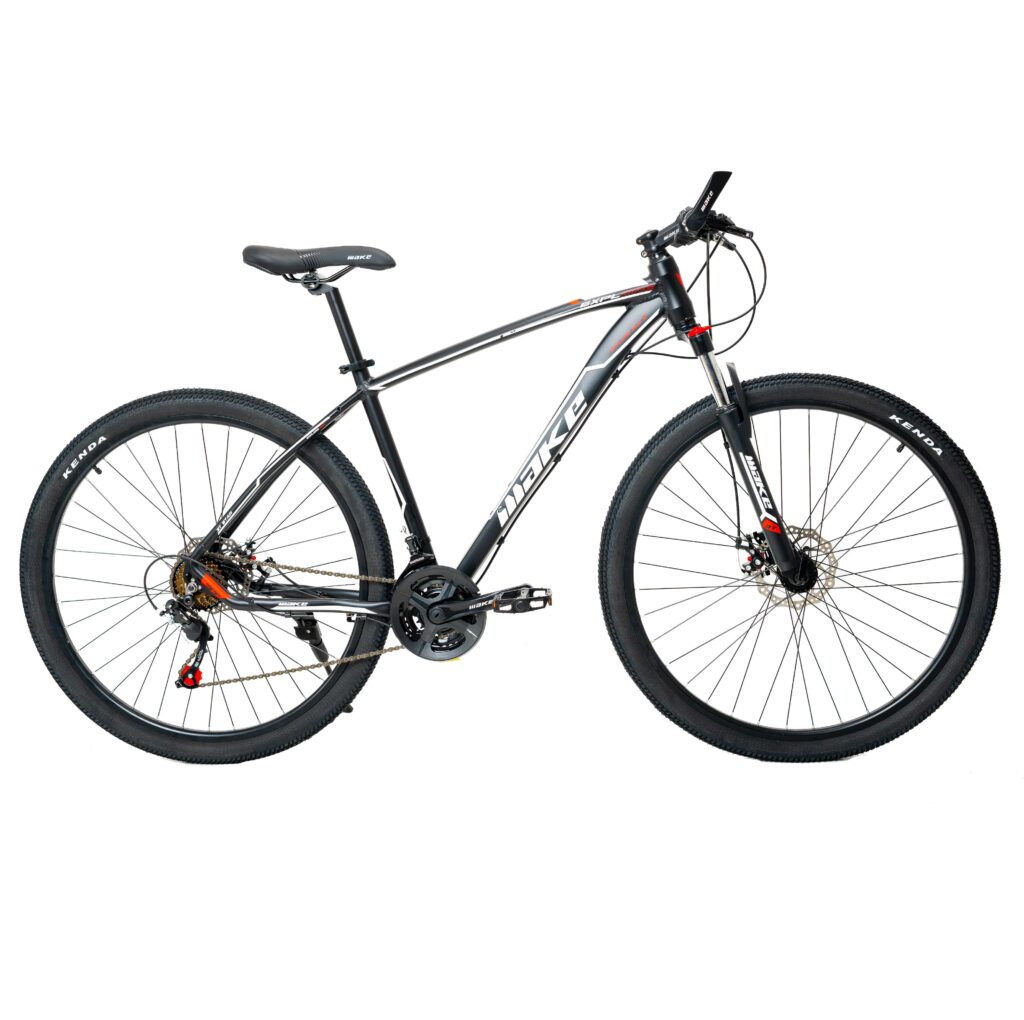 BICICLETA MAKE 29 DISK 21 VEL MECANICA Rodados Massa