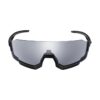 CE ARLT2 PH shic6 primary 2 750 750